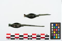 Foto von Bronzekahnfibel (NHMW-PRAE-025353)